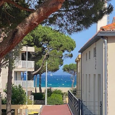 F3 Classe Meuble Tourisme "Gites De France" A 80 Metres De La Plage Argeles-sur-Mer Exterior photo
